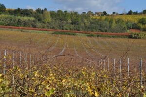 Besuch Margaritelli 2016 1