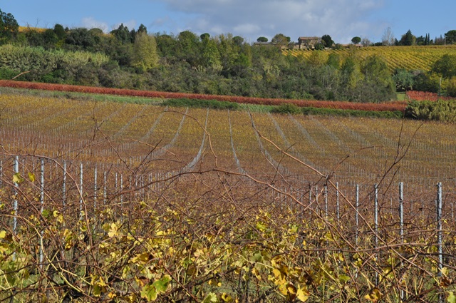 Besuch Margaritelli 2016 1