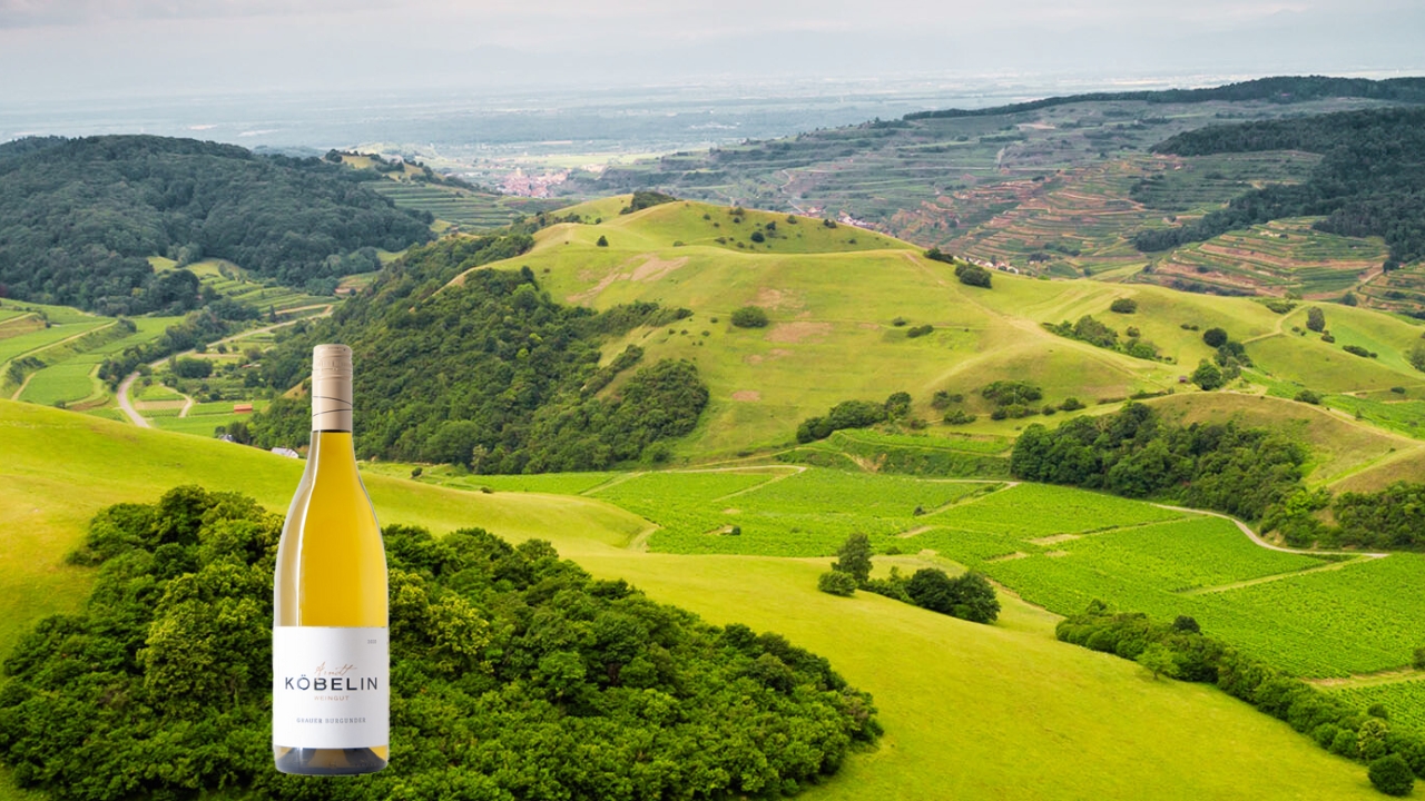 Kaiserstuhl und Grauburgunder: Entdecken Sie Deutschlands Weinparadies mit mediterranem Flair