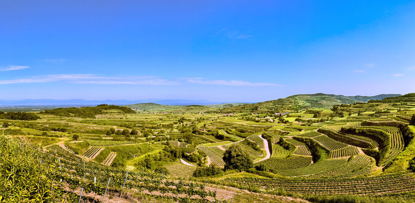 Kaiserstuhl und Grauburgunder: Entdecken Sie Deutschlands Weinparadies mit mediterranem Flair