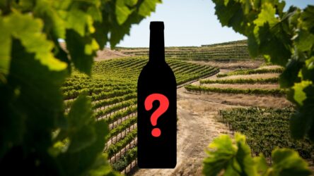 Mystery Wein Auswahl BUDGET deluxe 3 oder 6 Flaschen